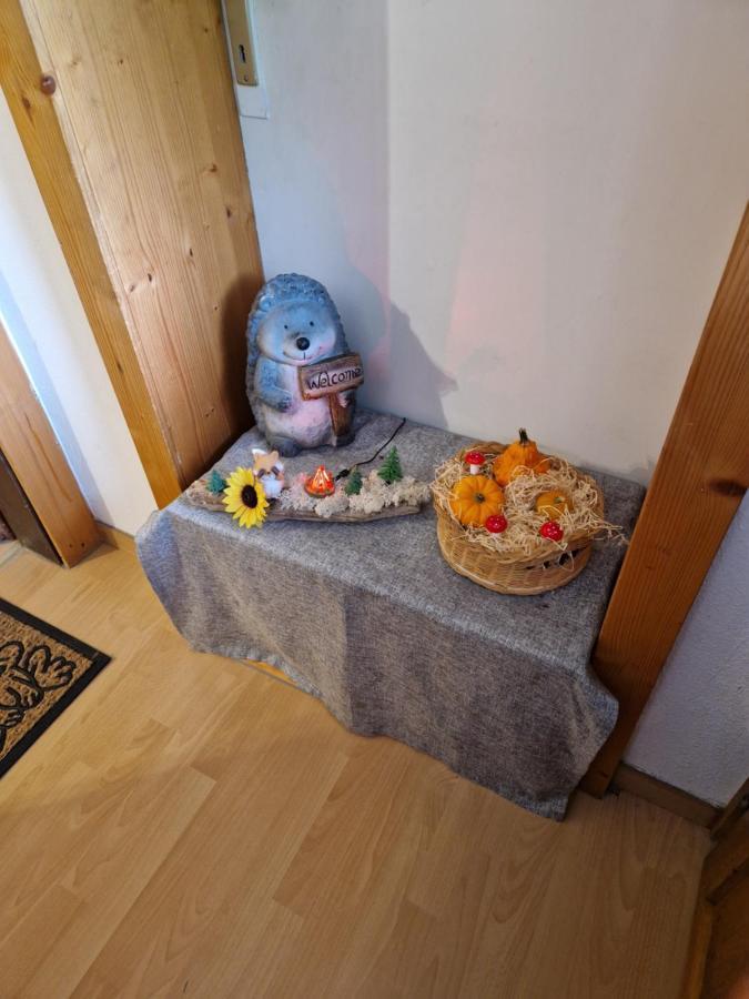Apartmán Familie Brandt Bad Ischl Exteriér fotografie